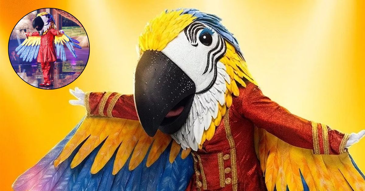 Who is Macaw on Masked Singer