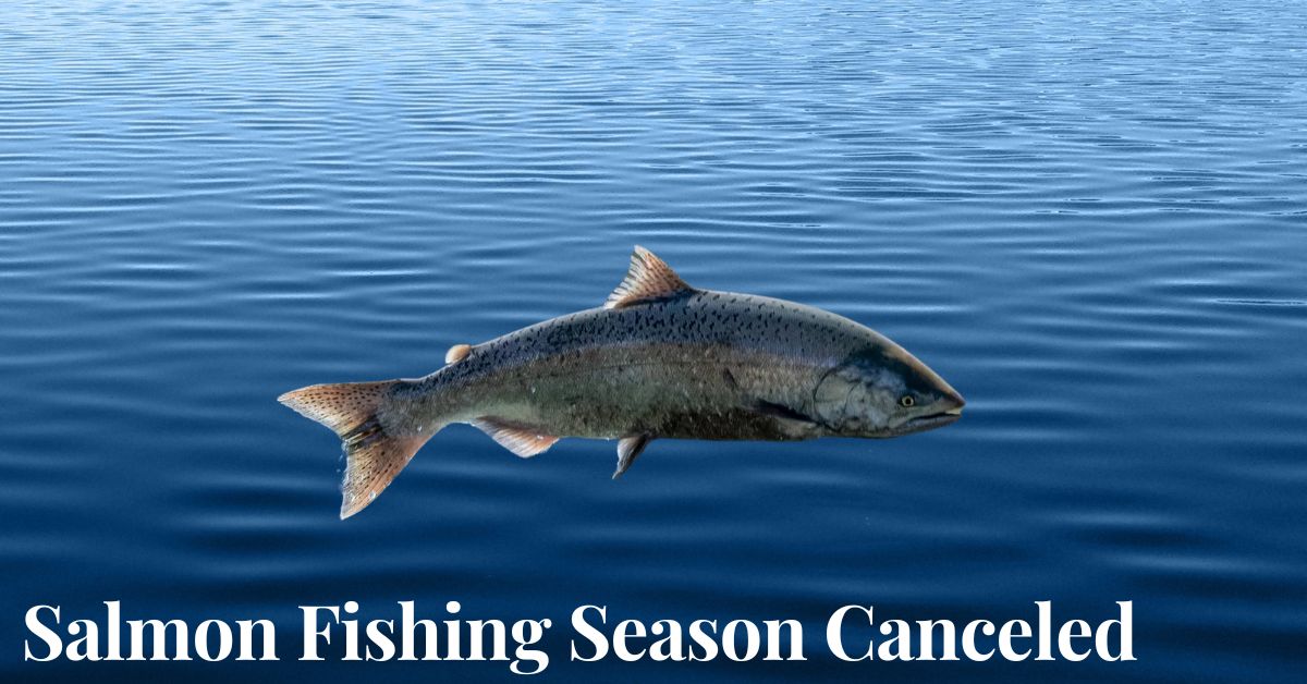 Salmon Fishing Season Canceled