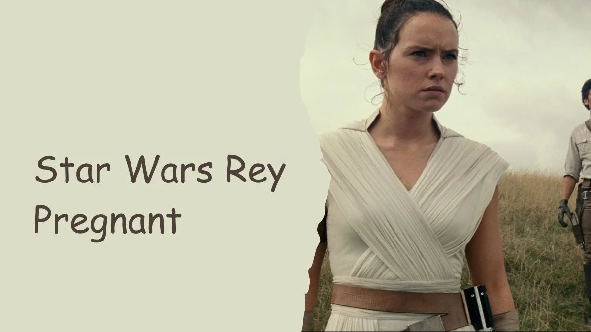 Star Wars Rey Pregnant