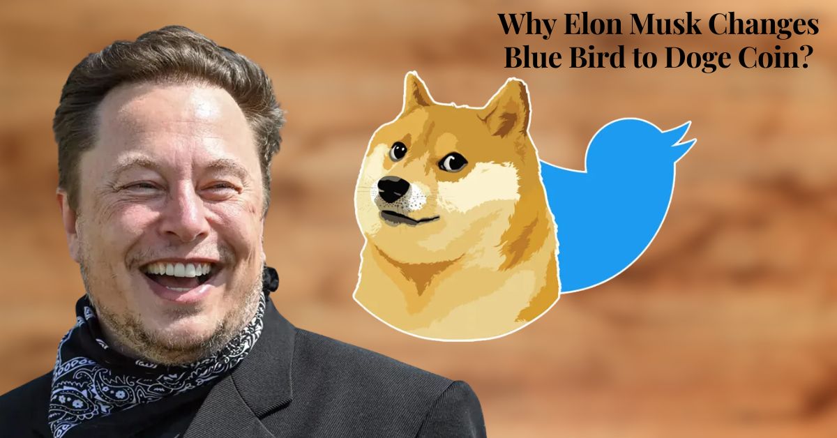 Why Elon Musk Changes Blue Bird to Doge Coin