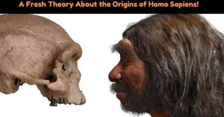 A Fresh Theory About the Origins of Homo Sapiens