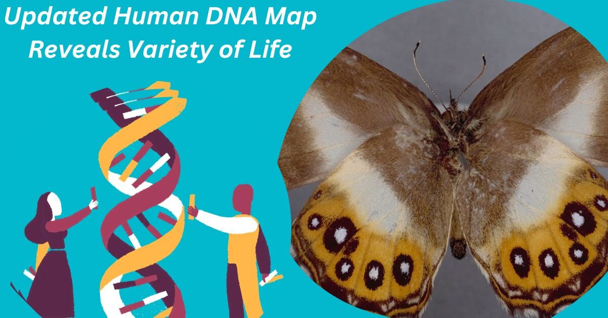 Updated Human DNA Map Reveals Variety of Life