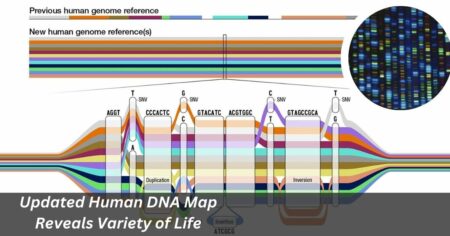 Updated Human DNA Map Reveals Variety of Life