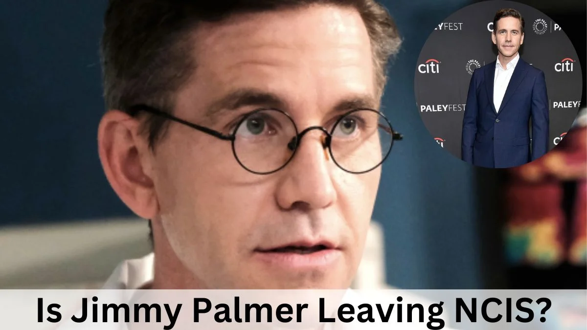 Is Jimmy Palmer Leaving NCIS