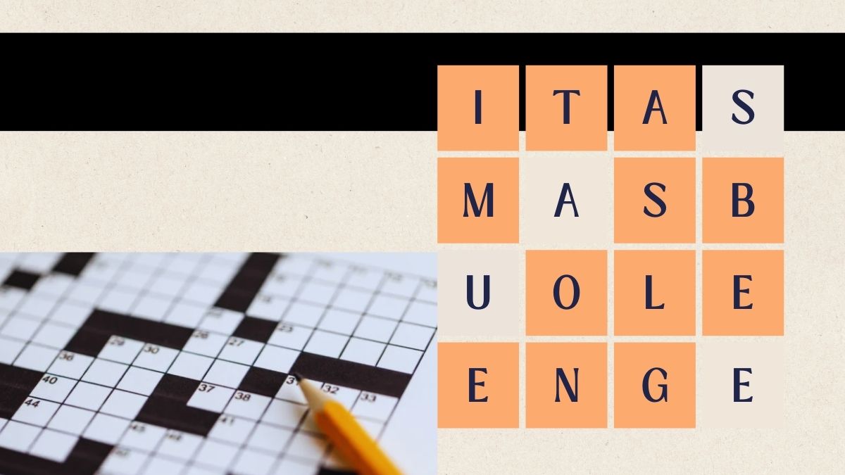 Deck Reality TY NYT: What is its Crossword Clue?
