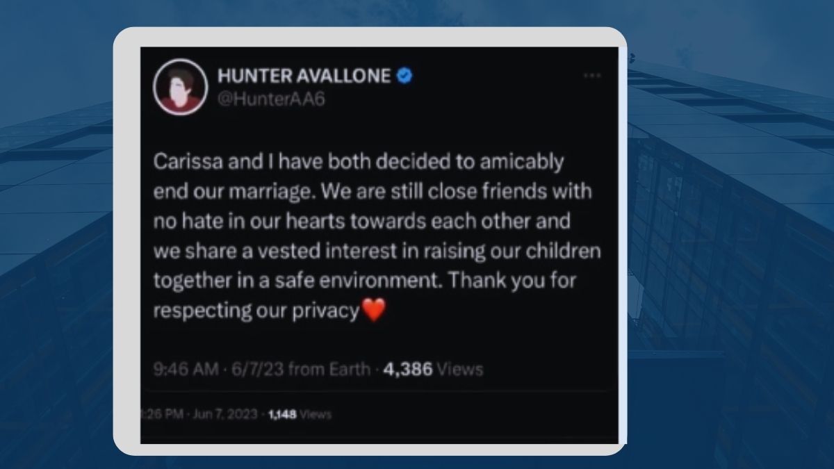 Screenshot of Hunter Avallone's Statement on Divorce