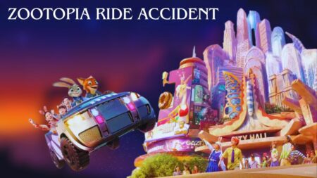 Zootopia Ride Accident